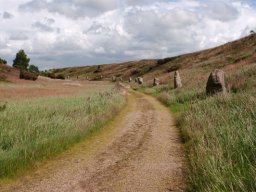 IMGP2345-Mindelunden-i-Kongenhus